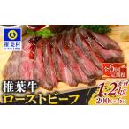 惣菜 レトルト 冷凍 定期便 6回定期便 大 椎葉牛