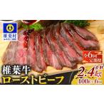惣菜 レトルト 冷凍 定期便 6回定期便 大 椎葉牛