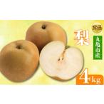 ふるさと納税 梨 香川県 丸亀市 2025年8月上旬より順次発送 秀品 梨 約4kg 丸亀産 ナシ 果物 フルーツ 果肉 果汁 季節 甘い デザート ゼリー ジュース ふるさ…