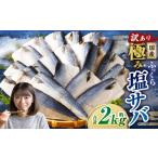 魚貝類 訳あり ふっくら 極み塩サバ 計約2kg 1切れ