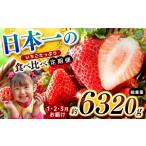 ふるさと納税 いちご 栃木県 那珂川町 栃木県共通返礼品 定期便3回 日本一のいちごたっぷり食べ比べ定期便 | いちご とちあいか 朝採れ たっぷり ぎっしり サ…