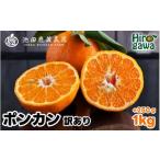 みかん 柑橘類 ポンカン 1kg+250g