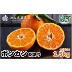 みかん 柑橘類 ポンカン 2.5kg+250g