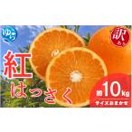 ふるさと納税 みかん・柑橘類 和歌山県 由良町 ＼来シーズン先行予約／ 訳あり 和歌山県産 紅はっさく（サイズおまかせ）約10kg 2026年2月中旬〜順次発送予定 …