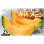ふるさと納税 メロン メロン赤肉 北海道 富良野市 富良野市山部地区産 赤肉メロン 2個(1個1.6kg以上) 1620056