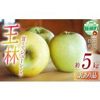 ふるさと納税 りんご 長野県 飯綱町 あまいりんご / 王林 りんご 王林 訳あり 5kg アグリファーム小林 信州の環境にやさしい農産物認証 ( 長野県認証 No50-…