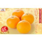 果物類 みかん 農家直送 清見タンゴール 4.5kg