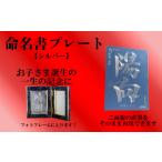 金工品 誕生祝い お子さまの命名書プレート 1枚