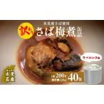 ふるさと納税 缶詰・瓶詰 魚貝類 富山県 氷見市 訳あり 缶詰 さば梅煮 40缶 ラベルレス 越田商店