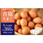 卵 鶏 烏骨鶏等 6ヶ月定期便 濃厚プレミアム