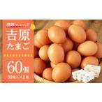 fu.... налог яйцо ( курица,.. курица и т.п. ) Ibaraki префектура бог . город . толщина premium .. Tama .2 коробка 30 штук входит ×2 коробка итого 60 шт (54 шт + трещина гарантия 6 шт ) яйцо Tama .