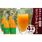 果汁飲料 O-92 オリジナルジュース2種4本セット