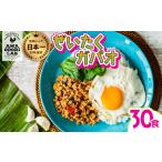 加工品等 レトルト 阿波尾鶏 ぜいたくガパオ 30食入