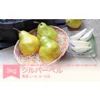 梨 シルバーベル L~4L 秀品 3kg