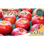 ふるさと納税 りんご 長野県 千曲市 2025年先行予約 スイートなりんご シナノスイート 約5kg| 林檎 信州りんご 千曲市 長野県