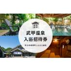 温泉 サウナ スパ利用券 武甲温泉 入浴招待券 10枚