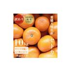 ふるさと納税 みかん・柑橘類 愛媛県 八幡浜市  みかんの大トロ 糖度12.0以上酸1.4以下 糖酸選別品 訳あり愛媛セトカ10kg G20-75 _ 訳アリ わけあり ワケアリ…
