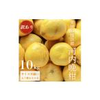 ふるさと納税 みかん・柑橘類 愛媛県 八幡浜市 《果汁たっぷりジューシー》産地直送 愛媛八幡浜産 訳あり 河内晩柑10kg D20-72 1621456