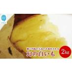 野菜類 サツマイモ 新居浜大島産 幻のさつまいも