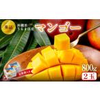 ショッピングふるさと納税 マンゴー ふるさと納税 マンゴー 沖縄県 うるま市 沖縄県 うるま市産 完熟 マンゴー 秀品 800g 2026年発送