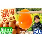 fu.... налог яйцо ( курица,.. курица и т.п. ) Kumamoto префектура гора олень город Tama .50 шт примерно 3kgma блеск maeg ферма ZAW005