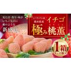ふるさと納税 いちご 熊本県 - にべさんちの苺 熊本県産イチゴ極み桃薫(とうくん) 2026年1月下旬発送開始