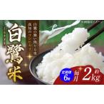 ふるさと納税 米 コシヒカリ 高知県 高知市 6回定期便 新米 R7年度産 農薬節減 白鷺米 コシヒカリ 各約2kg 合計約12kg / 高知 米 お米 精米 津ノ宮農園 A…