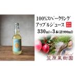 果汁飲料 りんご 予定 100%スパークリングアップルジュース…