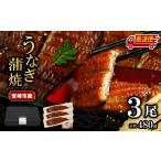 うなぎの蒲焼 約480g