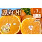 みかん 柑橘類 2027年 麗紅柑 れいこう