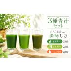 遠藤青汁 豆乳青汁 りんご青汁 冷凍 各28袋×3種セット