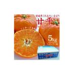 ショッピング甘平 ふるさと納税 みかん・柑橘類 愛媛県 上島町  先行受付 人気柑橘　甘平(かんぺい)レギュラー箱　5kg　愛媛県　JAおちいまばり 1622635