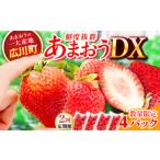 いちご 2回定期便 博多あまおう 2ケース 250g×4P