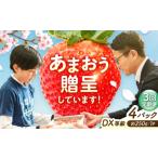 いちご 3回定期便 博多あまおう 2ケース 250g×4P