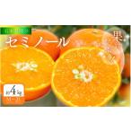 みかん 柑橘類 石本農園のセミノール M~2Lいずれか 約4kg
