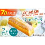 ケーキ カステラ 7日発送 文明堂のレモンケーキ2本 240g×2本