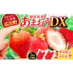 いちご 3回定期便 博多あまおう 1ケース 250g×2P