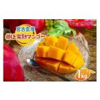 ショッピングふるさと納税 マンゴー ふるさと納税 マンゴー 沖縄県 宮古島市  2026年夏発送 宮古島産樹上完熟マンゴー1kg（2〜3玉）グットクロップ宮古島（SG001）