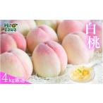 ふるさと納税 もも 和歌山県 広川町 厳選 白桃 4kg ／ 桃 もも 甘い 高級 和歌山 7月上旬〜8月中旬に順次発送 北海道・沖縄・離島への配送不可 ikd501-p-4A