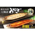 ふるさと納税 うなぎ 鹿児島県 大崎町 土用丑の日 鹿児島県大隅産 千歳鰻の白焼1尾・蒲焼き1尾 合計2尾セット(1尾110g〜130g)