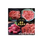 ふるさと納税 牛肉 セット 京都府 亀岡市 4回定期便 京都産 黒毛和牛赤身肉 4ヶ月 お楽しみセット 計2.35kg 1回 500g〜700g 和牛 専門店 ひら山 厳選 赤身 し…