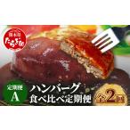 牛肉 ハンバーグ 定期便2回 食べ比べ 定期便