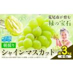 ふるさと納税 ぶどう マスカット 熊本県 荒尾市 先行予約 マスカット シャインマスカット 朝採り シャインマスカット 約3kg 4〜6房 前田果樹園《8月下旬-9月…