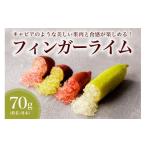 みかん 柑橘類 フィンガーライム 70g