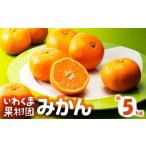 ふるさと納税 果物類 みかん 福岡県 新宮町 AA216.いわくま果樹園から直送品の温州みかん（約5kg）／2026年9月下旬〜2027年1月下旬発送予定 予約分