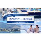 体験チケット 別府湾クルーズ利用券