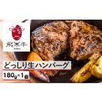 肉 ハンバーグ うまい赤身にこだわった牛飼いの和牛肉ハン…