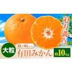 迫力満点 大粒 有田みかん 2L-4Lサイズ 約10kg