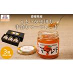 ジャム うまいがぜ伊方手作りマーマレード 200g×3個