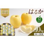 りんご サンふじ 3 4 はるか 1 セット Sサイズ 10kg